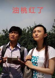 福建省教育云管理影视海报