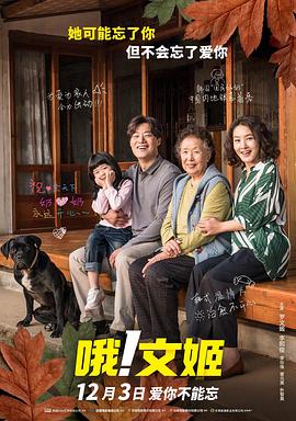 31小说网影视海报